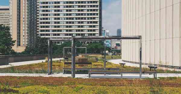 女人断山根及掀鼻的分析,鼻子山根低怎么办