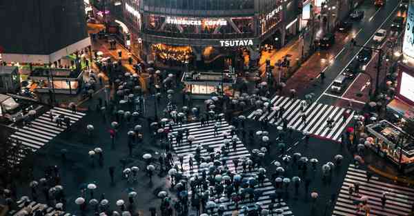 属蛇2024年9月5日运势,属蛇人2024年9月5日财运,生肖蛇2024年9月5日运势